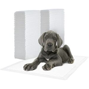 Iris Ohyama , Alaise pour Chien, Alèse Jetable 59x44 Tapis Educateur pour Chiot, Apprentissage de la Propreté, 5 Couches de Protection Anti-Fuite et Résistante (100 Pièces) Pet Pad NS-100W - Publicité Iris Ohyama , Alaise pour Chien, Alèse Jetable 59x44 Tapis Educateur pour Chiot, Apprentissage de la Propreté, 5 Couches de Protection Anti-Fuite et Résistante (100 Pièces) Pet Pad NS-100W - Publicité