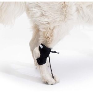 Ortocanis Dispositif Proprioceptif pour Chiens Knuckling, Myélopathies, Problèmes Vertébraux Améliore la Posture, Réduit Les Blessures Conçu par des Experts à Barcelone Taille: M 11,5-14 cm - Publicité Ortocanis Dispositif Proprioceptif pour Chiens Knuckling, Myélopathies, Problèmes Vertébraux Améliore la Posture, Réduit Les Blessures Conçu par des Experts à Barcelone Taille: M 11,5-14 cm - Publicité