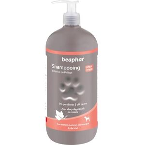 Beaphar – Shampoing premium brillance du pelage pour chien – Aux polyphénols de raisin, aux extraits naturels de Mangue & de Kiwi – Donne éclat et brillance au poil –pH neutre et sans parabens– 750 ml - Publicité