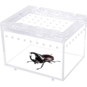 MiOYOOW Boîte d'alimentation d'insecte, Distributeur de Nourriture pour Dragon Barbu, Récipient d'élevage Transparent, Trous de Ventilation et Boucle Magnétique, pour Escargots, Grenouilles, Scorpion - Publicité MiOYOOW Boîte d'alimentation d'insecte, Distributeur de Nourriture pour Dragon Barbu, Récipient d'élevage Transparent, Trous de Ventilation et Boucle Magnétique, pour Escargots, Grenouilles, Scorpion - Publicité