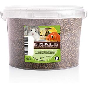 UGF Underground Food UGF Granulés de vers de Farine de qualité supérieure 2100 g en Seau de 3 litres, friandises pour Oiseaux, Hamsters, hérissons, rongeurs, lézards, Tortues – Aliment Universel - Publicité UGF Underground Food UGF Granulés de vers de Farine de qualité supérieure 2100 g en Seau de 3 litres, friandises pour Oiseaux, Hamsters, hérissons, rongeurs, lézards, Tortues – Aliment Universel - Publicité
