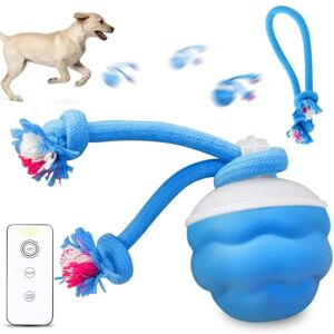 PORFOYO Jouet interactif pour chien, balle de jeu interactive pour chien, jouet mobile pour chien, balle roulante active avec queue, chien, balle auto-enroulante, balle mobile rechargeable pour chien, chiot - Publicité PORFOYO Jouet interactif pour chien, balle de jeu interactive pour chien, jouet mobile pour chien, balle roulante active avec queue, chien, balle auto-enroulante, balle mobile rechargeable pour chien, chiot - Publicité