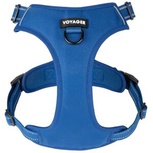 Best Pet Supplies Voyager Harnais pour Chien avec Double Attache pour Laisse Contrôle Anti-Traction Réglable Doux mais Robuste Technologie réfléchissante 3M Treillis Bleu Roi Taille M (Tour de Poitrine : - Publicité Best Pet Supplies Voyager Harnais pour Chien avec Double Attache pour Laisse Contrôle Anti-Traction Réglable Doux mais Robuste Technologie réfléchissante 3M Treillis Bleu Roi Taille M (Tour de Poitrine : - Publicité
