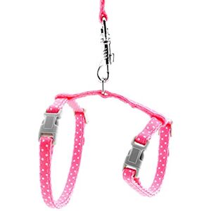 smalllee_lucky_store Harnais pour Animaux de Compagnie avec Laisse réglable pour Lapins Chats Chatons Collier réglable Laisse de Marche pour Petit Chien - Publicité smalllee_lucky_store Harnais pour Animaux de Compagnie avec Laisse réglable pour Lapins Chats Chatons Collier réglable Laisse de Marche pour Petit Chien - Publicité