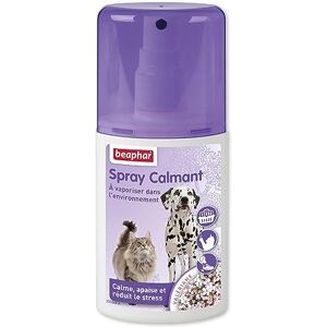 Beaphar – NO Stress – Spray calmant à la Valériane pour Chat – Réduit Le Stress et Les problèmes comportementaux sans dépendance ni Somnolence – Flacon 125 ML – 5 Heures d'action - Publicité Beaphar – NO Stress – Spray calmant à la Valériane pour Chat – Réduit Le Stress et Les problèmes comportementaux sans dépendance ni Somnolence – Flacon 125 ML – 5 Heures d'action - Publicité