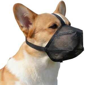 Frutilexia Museliere pour Chiens, Muselière Chien Ajustable, Musoliaire Chien en Maille, Masque Respirant pour Animaux, Muselière pour Chiens Moyens et Grands, Peut Haleter et Boire, Noir, L - Publicité Frutilexia Museliere pour Chiens, Muselière Chien Ajustable, Musoliaire Chien en Maille, Masque Respirant pour Animaux, Muselière pour Chiens Moyens et Grands, Peut Haleter et Boire, Noir, L - Publicité