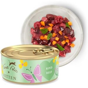 Terra Felis Nourriture Humide pour Chatons au bœuf 100% qualité Alimentaire Toutes Les matières premières 90% de Viande sans céréales Aliment Complet (70 g) - Publicité Terra Felis Nourriture Humide pour Chatons au bœuf 100% qualité Alimentaire Toutes Les matières premières 90% de Viande sans céréales Aliment Complet (70 g) - Publicité
