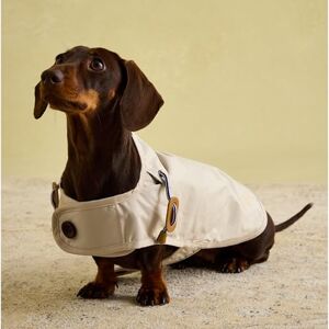 Imperméable Joules Sandshell - Manteau pour chiens Petit - Publicité Imperméable Joules Sandshell - Manteau pour chiens Petit - Publicité