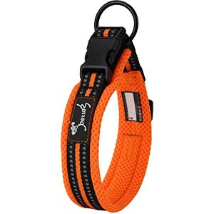 PETTOM Collier pour Chien, Collier Réglable et Rembourré pour Chien Gros Moyen Petit avec Bande Réfléchissante(Orange L) - Publicité PETTOM Collier pour Chien, Collier Réglable et Rembourré pour Chien Gros Moyen Petit avec Bande Réfléchissante(Orange L) - Publicité