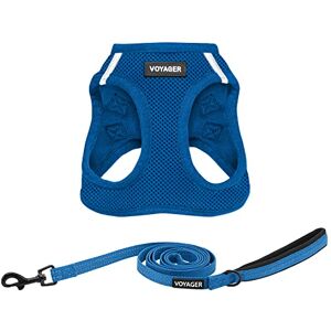 Harnais et Laisse Royal Blue Facile à Enfiler Mesh pour Toutes Saisons - Combo Harnais et Laisse - Publicité Harnais et Laisse Royal Blue Facile à Enfiler Mesh pour Toutes Saisons - Combo Harnais et Laisse - Publicité