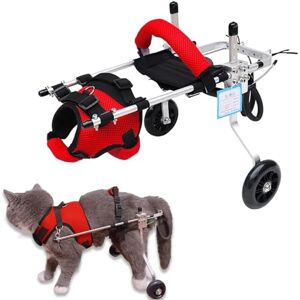 RUYICZB Harnais De Soutien pour Chien, Fauteuil Roulant pour Chat Lapin Handicapé Réadaptation pour Patte Arrière/Jambe Arrière, Aide À Marcher, Chariot pour Les Animaux Âgés Et Blessés,XS - Publicité RUYICZB Harnais De Soutien pour Chien, Fauteuil Roulant pour Chat Lapin Handicapé Réadaptation pour Patte Arrière/Jambe Arrière, Aide À Marcher, Chariot pour Les Animaux Âgés Et Blessés,XS - Publicité