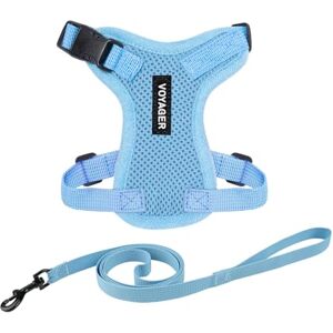 Best Pet Supplies Voyager 5' Harnais pour animaux - Laisse pour chien - Publicité Best Pet Supplies Voyager 5' Harnais pour animaux - Laisse pour chien - Publicité
