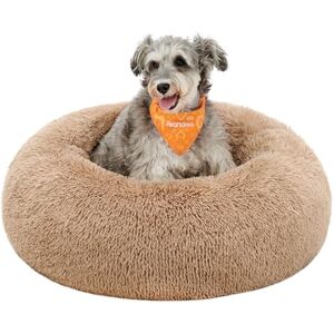 Feandrea Panier pour Chien, Lit Ronde en Forme de Beignet, Canapé, Coussin Central Amovible et Lavable, Tissu Peluche Doux, Ø70 cm, Marron Camel PGW039K01 - Publicité Feandrea Panier pour Chien, Lit Ronde en Forme de Beignet, Canapé, Coussin Central Amovible et Lavable, Tissu Peluche Doux, Ø70 cm, Marron Camel PGW039K01 - Publicité