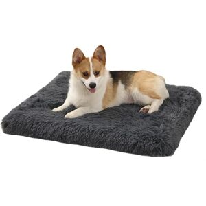 LuckyZoo77 Coussin Chien Matelas Moelleux en Peluche pour Petit Chien et Chat, Lit Déhoussable Lavable avec Mousse Œuf, Tapis Antidérapant, Gris Foncé, 50 x 40 x 5 cm - Publicité LuckyZoo77 Coussin Chien Matelas Moelleux en Peluche pour Petit Chien et Chat, Lit Déhoussable Lavable avec Mousse Œuf, Tapis Antidérapant, Gris Foncé, 50 x 40 x 5 cm - Publicité