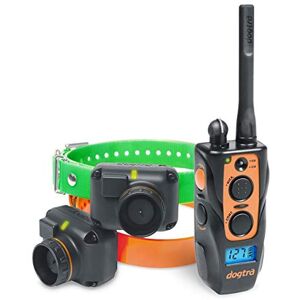 Dogtra 2602 T&B Collier de Dressage et Repérage, 127 Niveaux de Stimulation Électrostatique précis avec Ecran LCD et Vibration, Étanche IPX9K, 3 Modes de Localisation- Système 2 Chiens Portée 1500 m - Publicité Dogtra 2602 T&B Collier de Dressage et Repérage, 127 Niveaux de Stimulation Électrostatique précis avec Ecran LCD et Vibration, Étanche IPX9K, 3 Modes de Localisation- Système 2 Chiens Portée 1500 m - Publicité