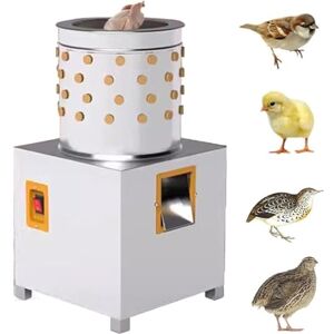 GYQSSD Plumeuse De Poulet électrique, Machine à Plumer De Volaille Automatique, Machine à Plumer en Acier Inoxydable pour Poulet/Canard/Oiseaux/Dinde/Caille/Oie - Publicité GYQSSD Plumeuse De Poulet électrique, Machine à Plumer De Volaille Automatique, Machine à Plumer en Acier Inoxydable pour Poulet/Canard/Oiseaux/Dinde/Caille/Oie - Publicité