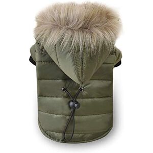 Hoomall RainBabe Vêtement Chien Hiver Manteau Habit pour Chiot Chaud Rembourré Epais Veste Manteau Chien Costumes Vêtements pour Animaux de Compagnie - Publicité