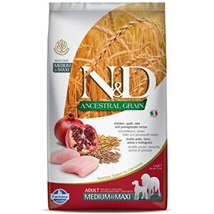 Farmina N&D ANCESTRAL Grain Dog Chicken, Spelt, Oats and Pomegranate Adult Medium & Maxi 2.5KG - Publicité Farmina N&D ANCESTRAL Grain Dog Chicken, Spelt, Oats and Pomegranate Adult Medium & Maxi 2.5KG - Publicité