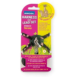 Harnais et Laisse pour Furet Ancol - Harnais pour Animaux - Publicité Harnais et Laisse pour Furet Ancol - Harnais pour Animaux - Publicité