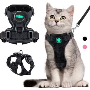 PROFAVO Harnais et laisse pour chat avec support AirTag intégré, réfléchissant, réglable, et étui Apple AirTag pour chat - Publicité PROFAVO Harnais et laisse pour chat avec support AirTag intégré, réfléchissant, réglable, et étui Apple AirTag pour chat - Publicité