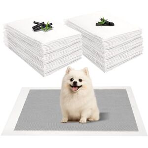 JANUIXCO 40 Pièces Alaise pour Chien, 60 × 60 cm Aleses Jetables pour Chien avec du Charbon, Super Absorbants -Apprentissage de la Propreté - Publicité JANUIXCO 40 Pièces Alaise pour Chien, 60 × 60 cm Aleses Jetables pour Chien avec du Charbon, Super Absorbants -Apprentissage de la Propreté - Publicité