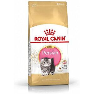 ROYAL CANIN race Persan croquette pour chaton - Publicité ROYAL CANIN race Persan croquette pour chaton - Publicité