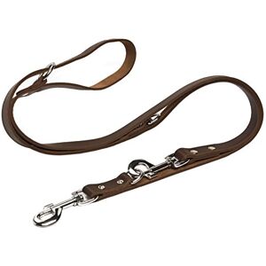 Beeztees Laisse de Dressage en Cuir pour Chien Marron 200 x 1,8 cm - Publicité