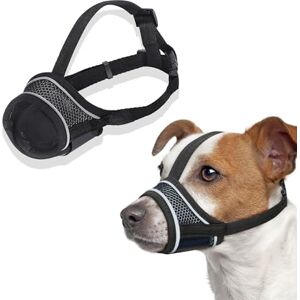 fKiZanthene Muselière Chien Réglable en Nylon Reflectif, Soft et Confortable avec Système d'ajustement pour Petits Chiens, Idéale pour Promenades et Entraînement - Publicité fKiZanthene Muselière Chien Réglable en Nylon Reflectif, Soft et Confortable avec Système d'ajustement pour Petits Chiens, Idéale pour Promenades et Entraînement - Publicité