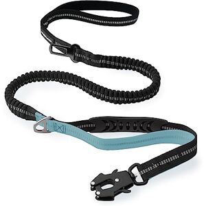 VAANNQOUU Laisse Tactique Robuste pour Chien avec Mousqueton à dégagement Rapide et Fils hautement réfléchissants, 1,2 à 1,8 m pour Chiens de Taille Moyenne et Grande (Noir et Bleu Clair) - Publicité VAANNQOUU Laisse Tactique Robuste pour Chien avec Mousqueton à dégagement Rapide et Fils hautement réfléchissants, 1,2 à 1,8 m pour Chiens de Taille Moyenne et Grande (Noir et Bleu Clair) - Publicité