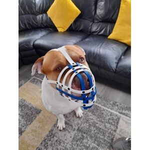 L&J Pets Uk Muselière en Biothane pour Chien Entraînement et comportement Design Solide et imperméable XL American Bully Fait à la Main et Durable - Publicité L&J Pets Uk Muselière en Biothane pour Chien Entraînement et comportement Design Solide et imperméable XL American Bully Fait à la Main et Durable - Publicité