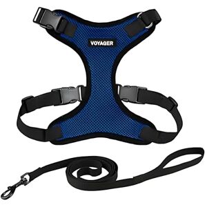 Best Pet Supplies Harnais pour Chat Voyager Step-in Lock et Laisse réfléchissante pour Chat, poignée en néoprène by pour Les Petites, Moyennes et Grandes Chats, Bleu Royal/Bord Noir, XS 1,5 m - Publicité Best Pet Supplies Harnais pour Chat Voyager Step-in Lock et Laisse réfléchissante pour Chat, poignée en néoprène by pour Les Petites, Moyennes et Grandes Chats, Bleu Royal/Bord Noir, XS 1,5 m - Publicité