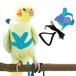 Dnoifne Pet Parrot Bird Harnais et Laisse pour Chien Design d'entraînement réglable Anti-Bite Corde en Nylon avec Adorable Wing pour Parrots Convient pour Alexandrine, Scarlet, Keck - Publicité Dnoifne Pet Parrot Bird Harnais et Laisse pour Chien Design d'entraînement réglable Anti-Bite Corde en Nylon avec Adorable Wing pour Parrots Convient pour Alexandrine, Scarlet, Keck - Publicité