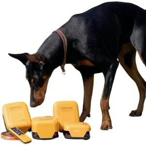 CGLYYDS Jouets Interactifs pour Chiens, Machine De Cours De Leurre pour Chiens, équipement D'entraînement D'agilité pour Chiens pour Jeux De Plein Air Et Exercices Interactifs - Publicité CGLYYDS Jouets Interactifs pour Chiens, Machine De Cours De Leurre pour Chiens, équipement D'entraînement D'agilité pour Chiens pour Jeux De Plein Air Et Exercices Interactifs - Publicité