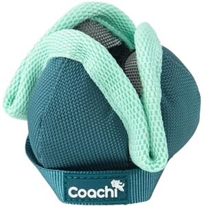 Harnais pour Chien Coachi - Animal: Chien, Type: Harnais, Matériau: Polyester - Publicité Harnais pour Chien Coachi - Animal: Chien, Type: Harnais, Matériau: Polyester - Publicité