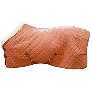 Kentucky Horsewear Show Rug 160 g, taille : 125, couleur : orange automne - Publicité