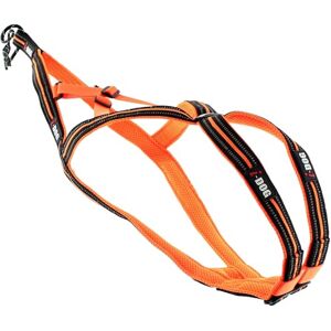 I-dog Harnais Sport X-Back One pour Courir avec Son Chien, Encolure et Dos réglable pour activité CANI Cross, CANI Jogging, CANI Trail, CANI Rando est Une Marque Française. (Orange, 4XS) - Publicité I-dog Harnais Sport X-Back One pour Courir avec Son Chien, Encolure et Dos réglable pour activité CANI Cross, CANI Jogging, CANI Trail, CANI Rando est Une Marque Française. (Orange, 4XS) - Publicité
