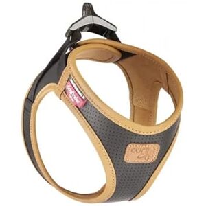 Curli Apple Harnais pour Chien en Cuir Noir/Taille L - Publicité Curli Apple Harnais pour Chien en Cuir Noir/Taille L - Publicité