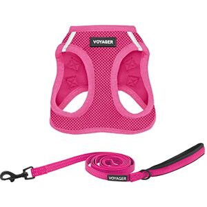 Best Pet Supplies Voyager Step-in Air – Harnais en maille toutes saisons et laisse réfléchissante de 1,5 m avec poignée en néoprène, pour chiots de petite, moyenne et grande taille (fuchsia), taille L - Publicité Best Pet Supplies Voyager Step-in Air – Harnais en maille toutes saisons et laisse réfléchissante de 1,5 m avec poignée en néoprène, pour chiots de petite, moyenne et grande taille (fuchsia), taille L - Publicité