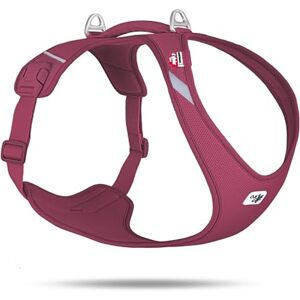 Curli Belka Harness Air-Mesh Ruby 33XL - Publicité Curli Belka Harness Air-Mesh Ruby 33XL - Publicité