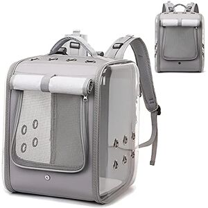 Bütic GmbH Transporteur Transparent pour Animaux De Compagnie, Transporteur De Sac À Dos pour Chat avec Évents Et Filets, Sac De Marche Portable pour Chien, pour Les Voyages, Le Camping, La Randonnée - Publicité Bütic GmbH Transporteur Transparent pour Animaux De Compagnie, Transporteur De Sac À Dos pour Chat avec Évents Et Filets, Sac De Marche Portable pour Chien, pour Les Voyages, Le Camping, La Randonnée - Publicité