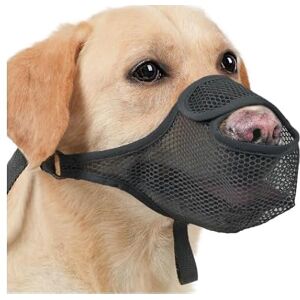 ZYEKIU Museliere pour Chiens, Muselière Chien Nylon, Museliere pour Chiens Petit Respirant pour Chien Réglable, Museliere Engrener pour Petits, Moyens et Grands(M, Noir) - Publicité ZYEKIU Museliere pour Chiens, Muselière Chien Nylon, Museliere pour Chiens Petit Respirant pour Chien Réglable, Museliere Engrener pour Petits, Moyens et Grands(M, Noir) - Publicité
