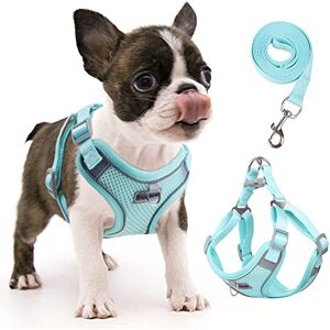 RENNAIO Harnais Anti-tir pour Chien, Réglable avec 2 Clips de Laisse, Réfléchissant pour Chiot de Petite et Moyenne Taille (Cyan, S) - Publicité RENNAIO Harnais Anti-tir pour Chien, Réglable avec 2 Clips de Laisse, Réfléchissant pour Chiot de Petite et Moyenne Taille (Cyan, S) - Publicité