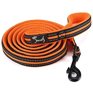 PETTOM Laisse pour Chien, Laisse Dressage Chien Grand Moyen Petit, Poignée Rembourrée, Réfléchissant(Orange, 1.1m) - Publicité PETTOM Laisse pour Chien, Laisse Dressage Chien Grand Moyen Petit, Poignée Rembourrée, Réfléchissant(Orange, 1.1m) - Publicité