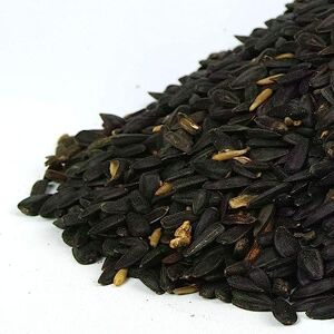 GardenersDream - Black Oil Sunflower Seeds - Bird Food - Publicité GardenersDream - Black Oil Sunflower Seeds - Bird Food - Publicité