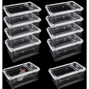 Lucxhcky Lot de 10 boîtes d'alimentation en plastique pour reptiles, gecko, dragon, lézard, araignée, grenouille, rreptile (transparent) - Publicité Lucxhcky Lot de 10 boîtes d'alimentation en plastique pour reptiles, gecko, dragon, lézard, araignée, grenouille, rreptile (transparent) - Publicité