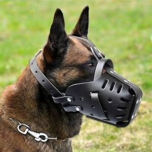 ZWESKUX Muselière pour Berger Allemand Malinois, protège-Dents en Cuir pour Mordre, mâcher, toilettage, réglable, Respirant, pour Chiens de Taille Moyenne et Grande, Noir, Tour de Cou 35 x 50 cm - Publicité ZWESKUX Muselière pour Berger Allemand Malinois, protège-Dents en Cuir pour Mordre, mâcher, toilettage, réglable, Respirant, pour Chiens de Taille Moyenne et Grande, Noir, Tour de Cou 35 x 50 cm - Publicité