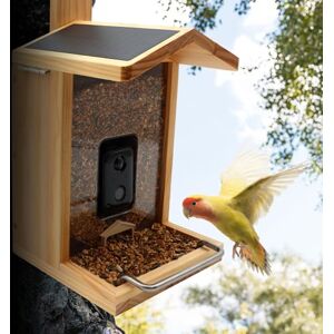 Croci Mangeoire à oiseaux Wifi – avec panneau solaire, batterie et caméra HD 1080p, application intelligente avec reconnaissance des espèces, photos et vidéos, capteurs de mouvement pour volailles, en - Publicité Croci Mangeoire à oiseaux Wifi – avec panneau solaire, batterie et caméra HD 1080p, application intelligente avec reconnaissance des espèces, photos et vidéos, capteurs de mouvement pour volailles, en - Publicité