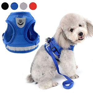 Zunea Harnais pour Chien pour Petit Chien Chat sans Tirer Harnais Ajustable en Maille Filet Souple rembourré Vest Harnais Laisse avec Ensemble de Bande réfléchissante Chiots Laisse pour Chien - Publicité Zunea Harnais pour Chien pour Petit Chien Chat sans Tirer Harnais Ajustable en Maille Filet Souple rembourré Vest Harnais Laisse avec Ensemble de Bande réfléchissante Chiots Laisse pour Chien - Publicité