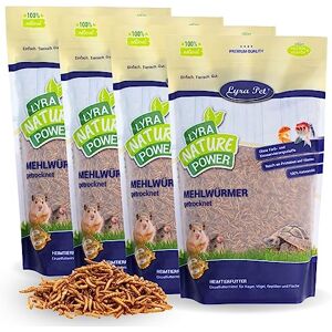 Lyra Pet ® 4 kg de vers de Farine séchés Nourriture Riche en protéines pour Oiseaux Sauvages, rongeurs, Reptiles & Poissons Source d'énergie pour Insectivores Vitamines & minéraux - Publicité Lyra Pet ® 4 kg de vers de Farine séchés Nourriture Riche en protéines pour Oiseaux Sauvages, rongeurs, Reptiles & Poissons Source d'énergie pour Insectivores Vitamines & minéraux - Publicité