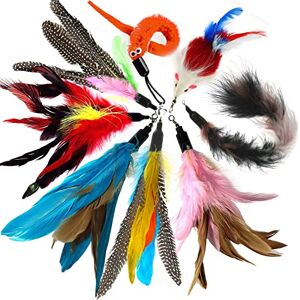 onebarleycorn Jouet à Plumes pour Chats, Plume Chat Jouet Rechange, Plumeau Jouets pour Chat Plume (8 Pièces) - Publicité onebarleycorn Jouet à Plumes pour Chats, Plume Chat Jouet Rechange, Plumeau Jouets pour Chat Plume (8 Pièces) - Publicité